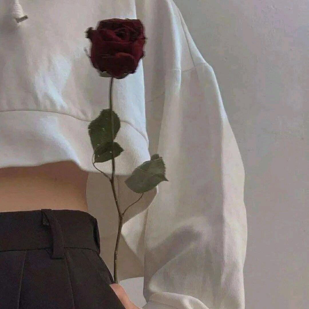 仄仄.(想想温浅会怎么做）