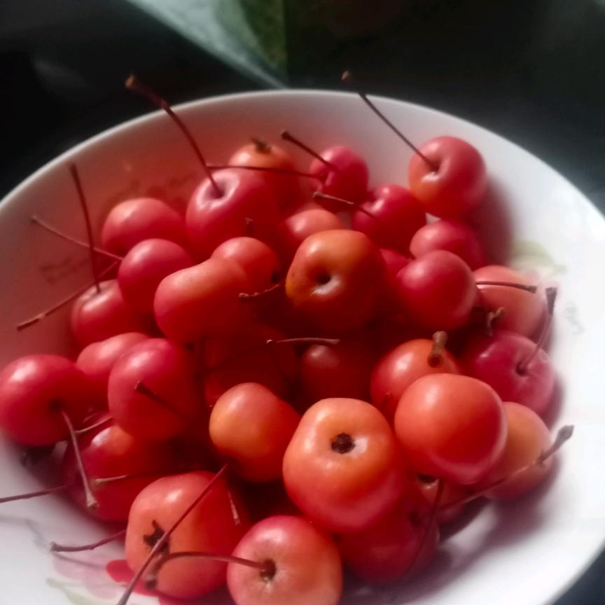 生命不息，奋斗不止！