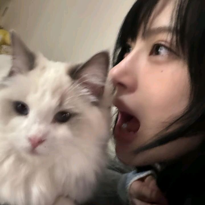 阳得喜喜