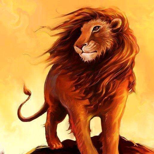 贪玩胡闹的小狮子🦁