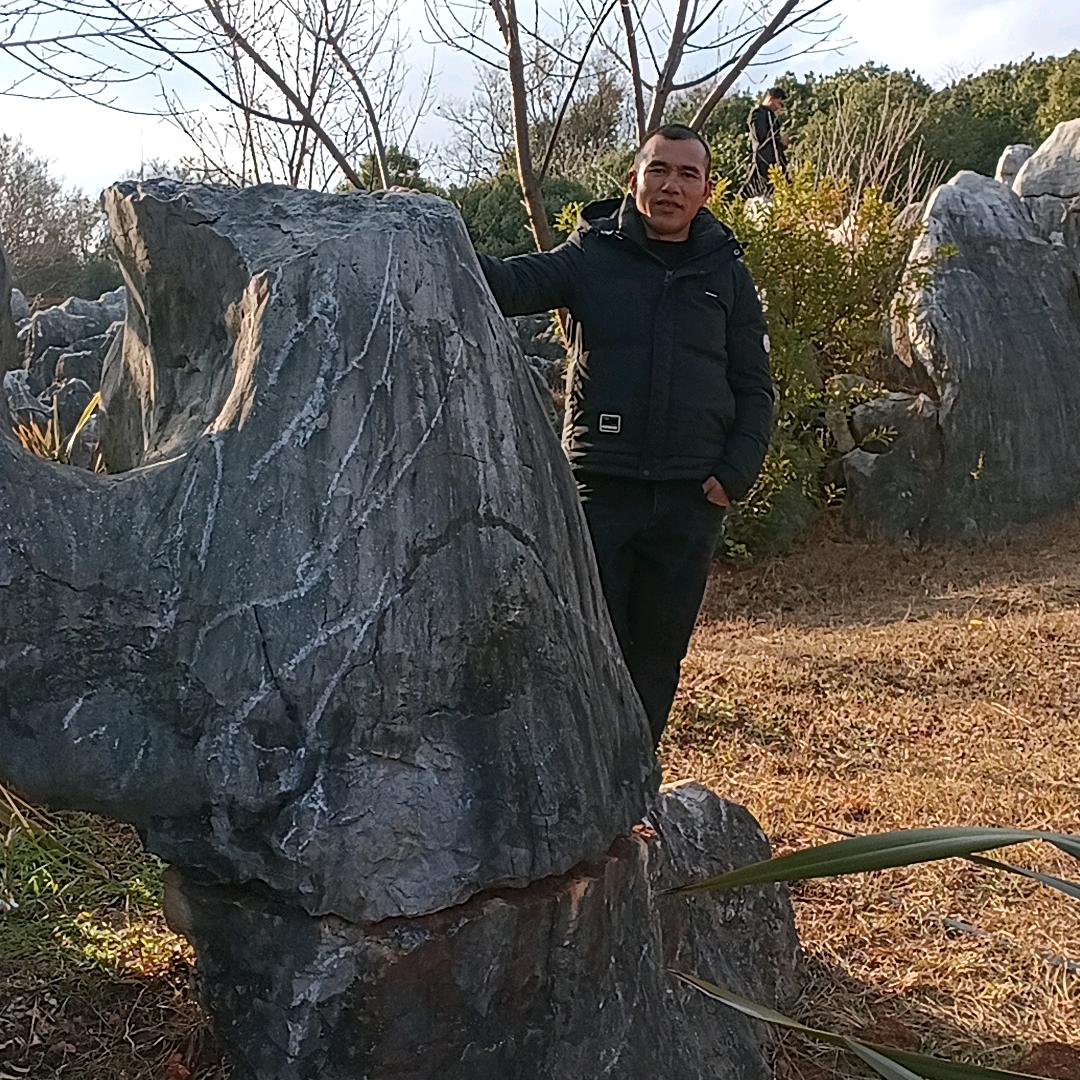 🌻飞❤️黄🎶腾🔱达