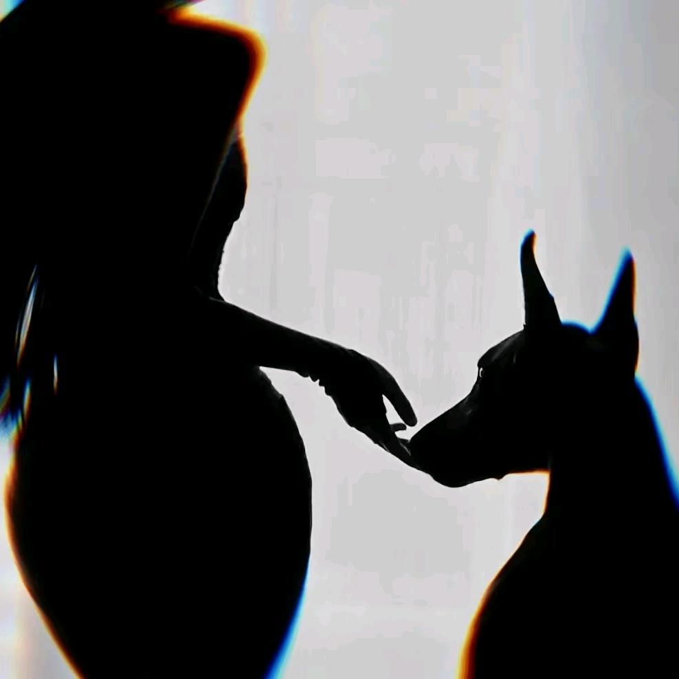 菲宝