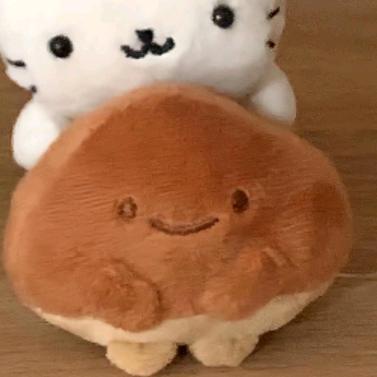 冷忆枫