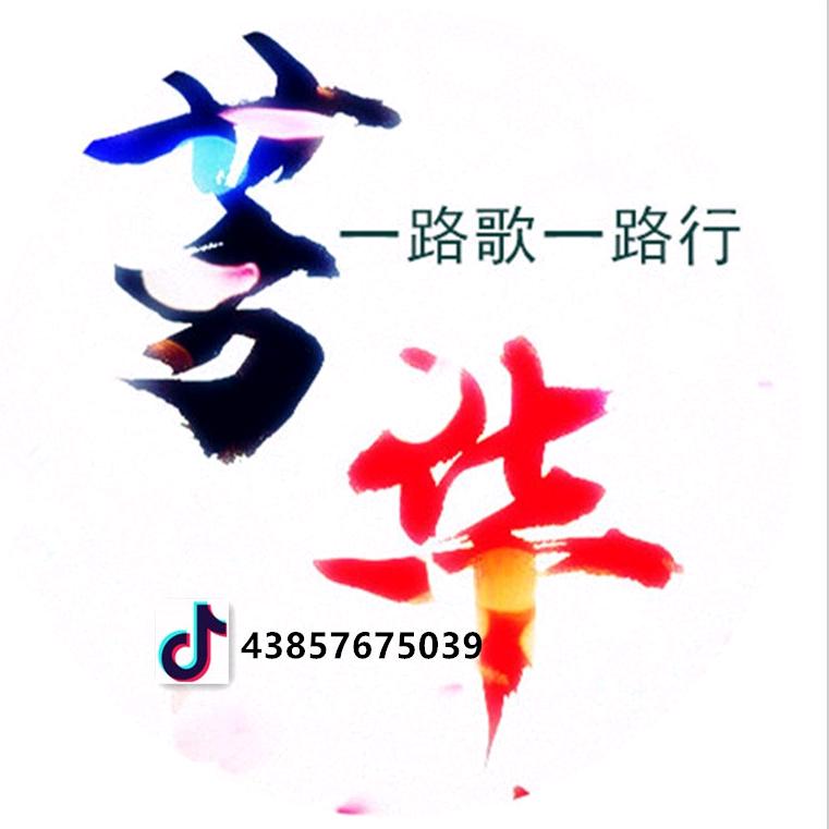 一路歌一路行