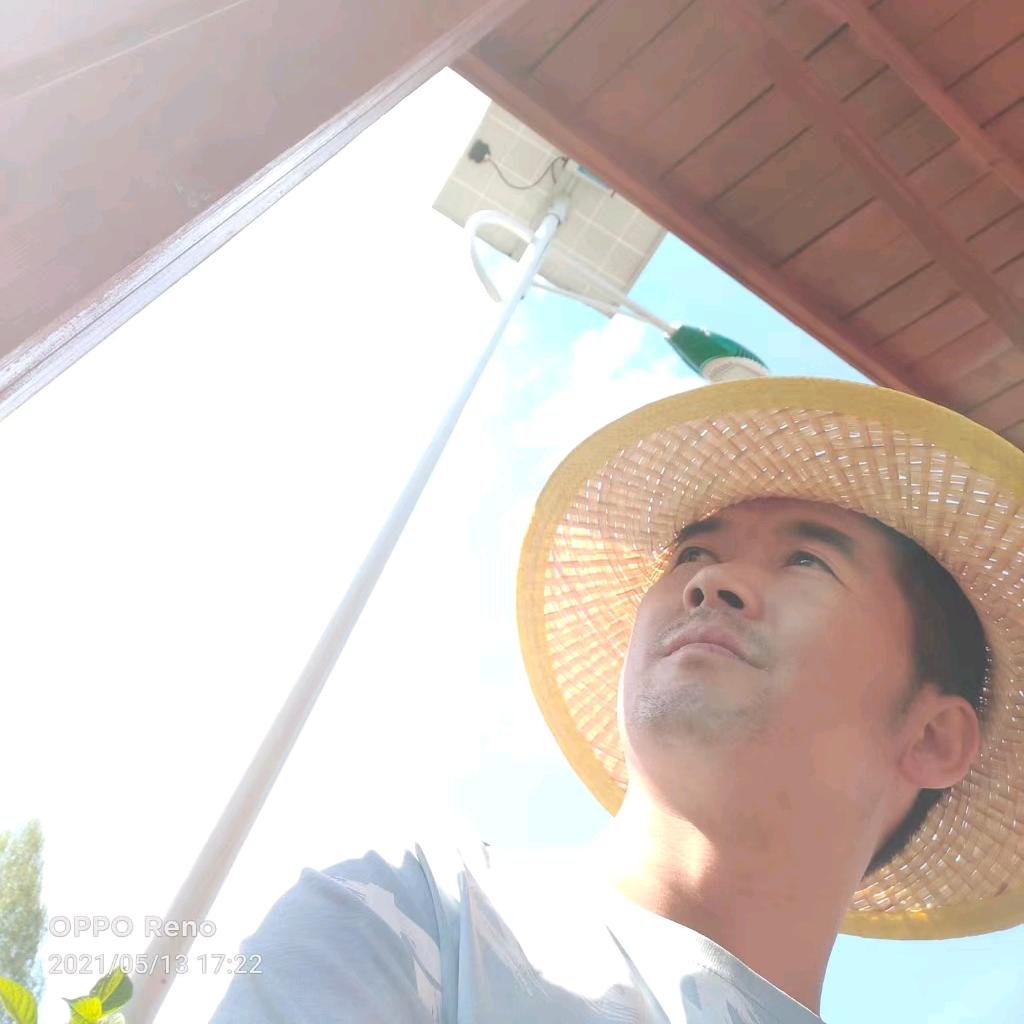 白酒一口闷