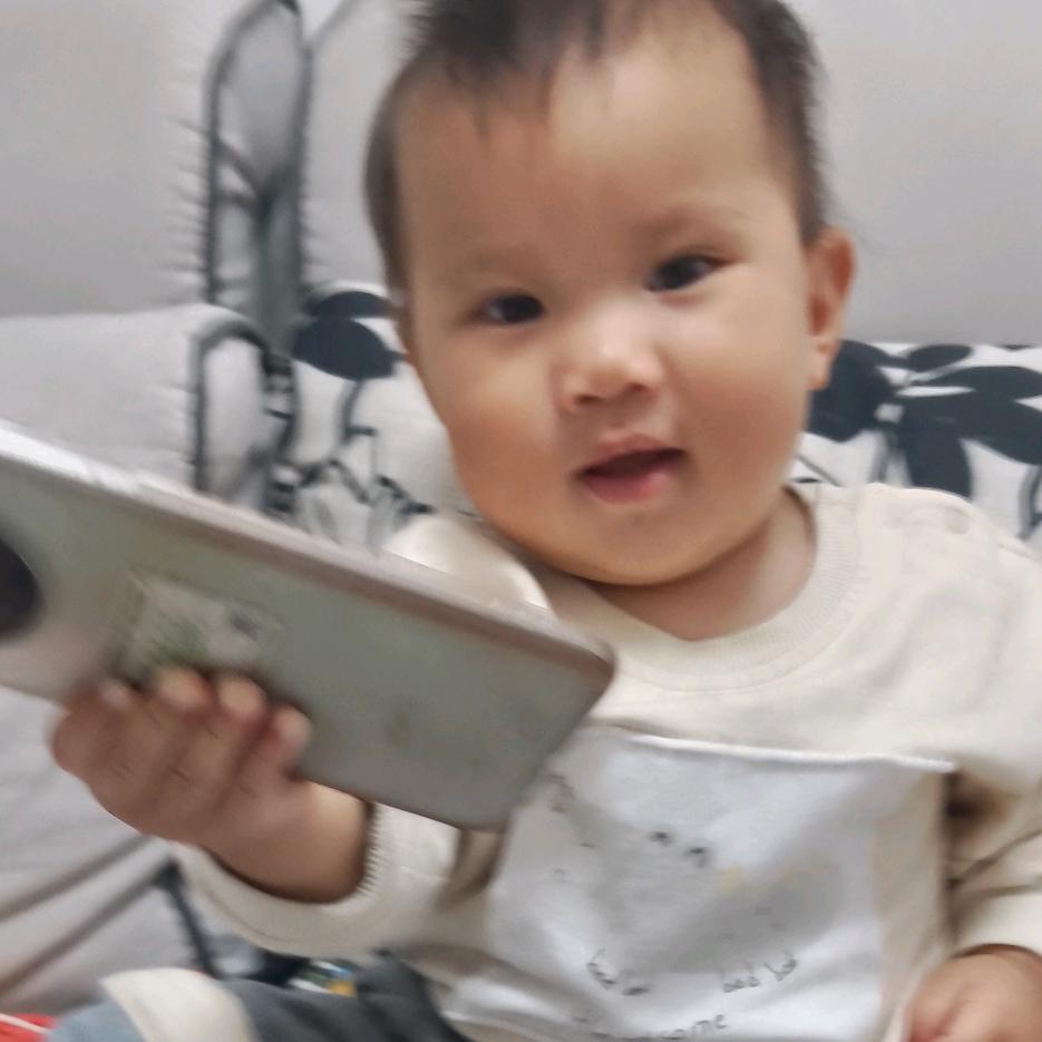 乔见意