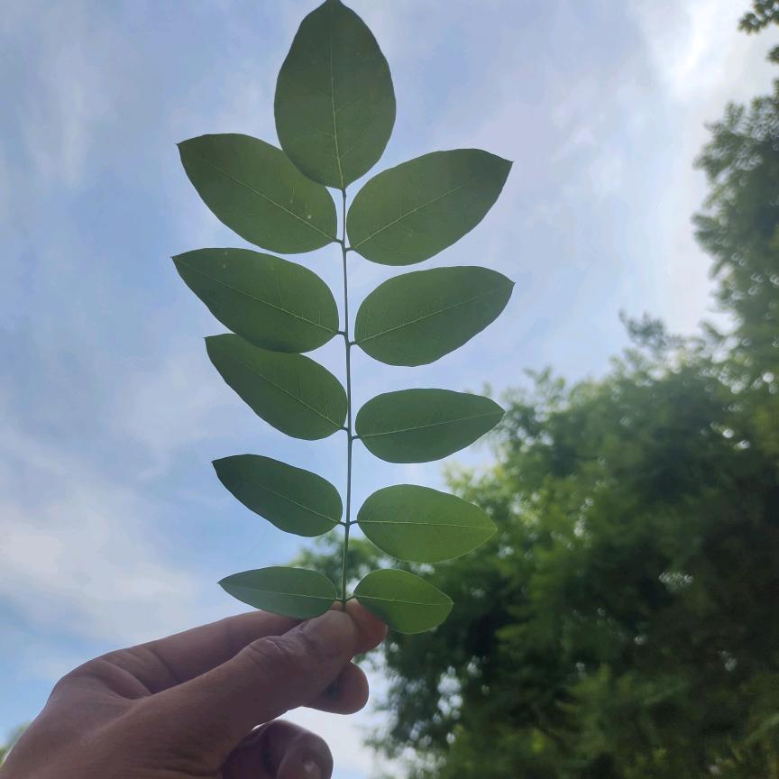 🍀把酒话初心🍀