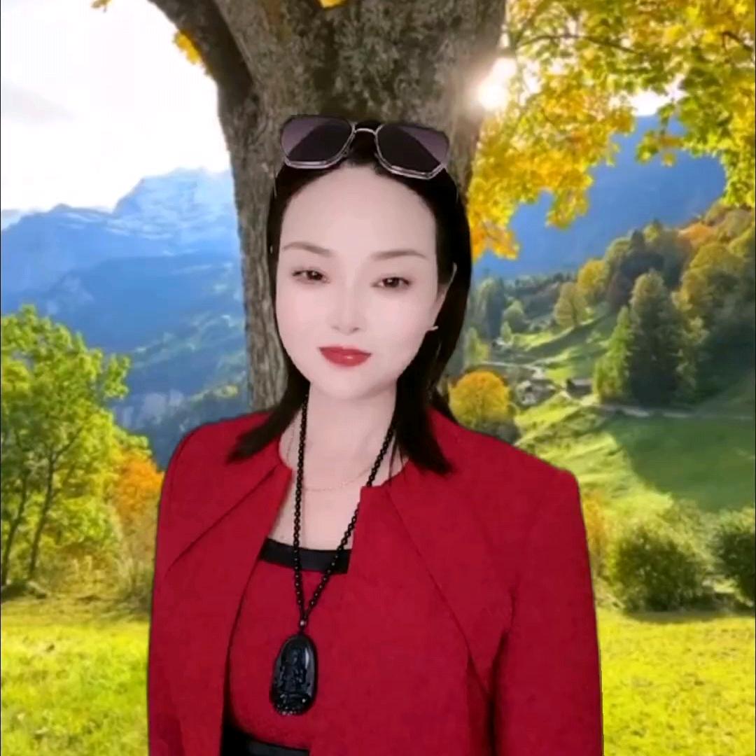 富贵竹
