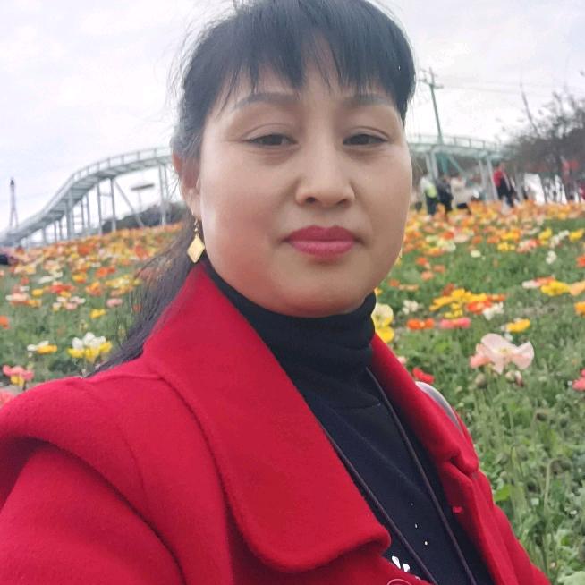 芬姐