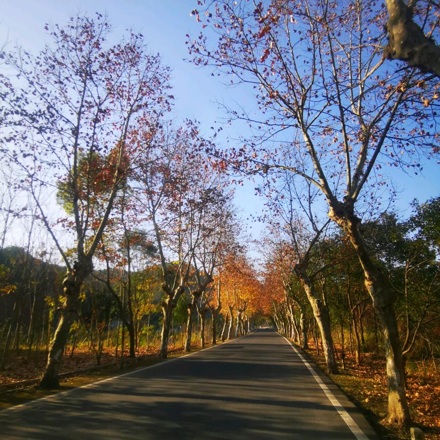 ℋღ᭄微笑🍒᭄💞࿐前行💋