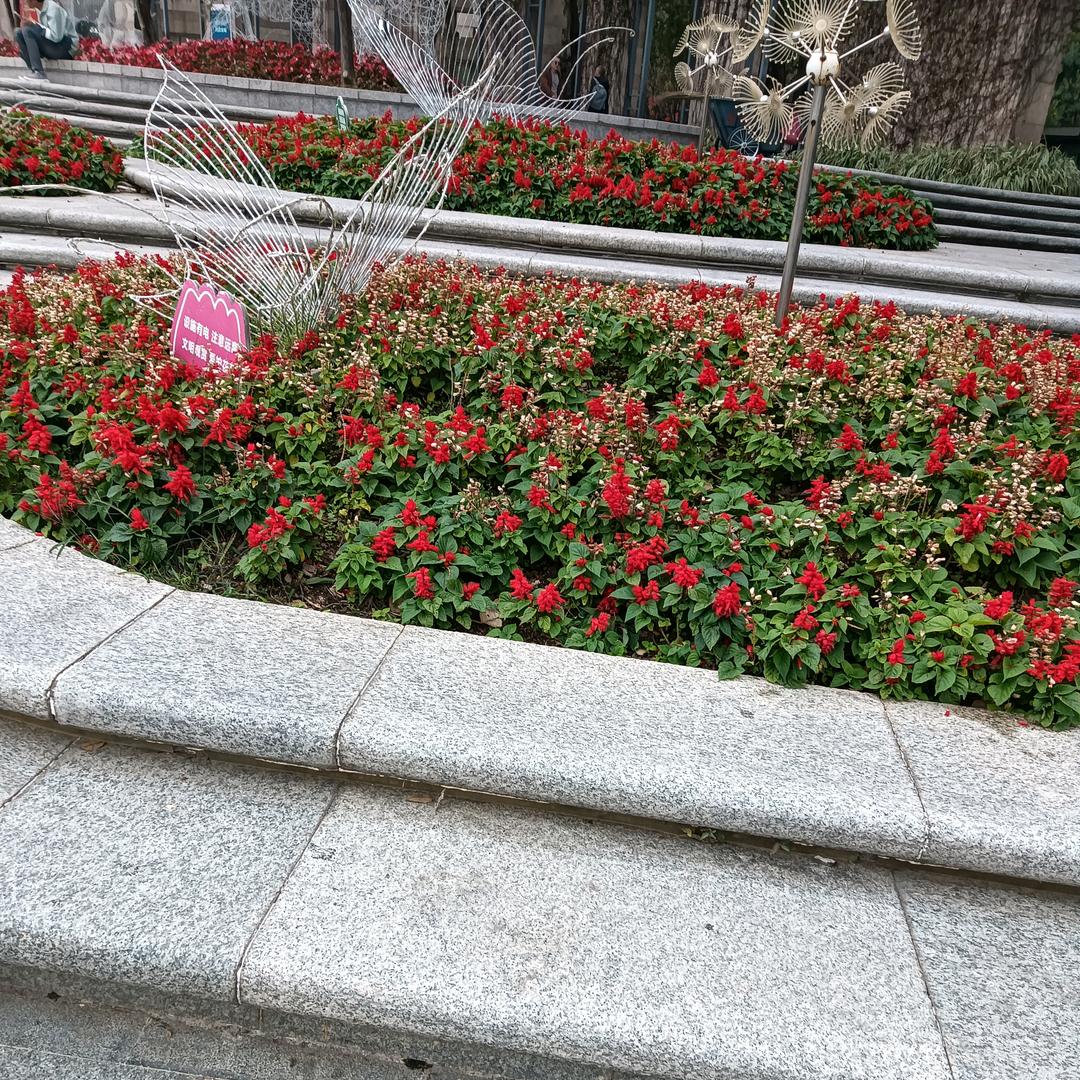 快乐的兔子拒绝私聊