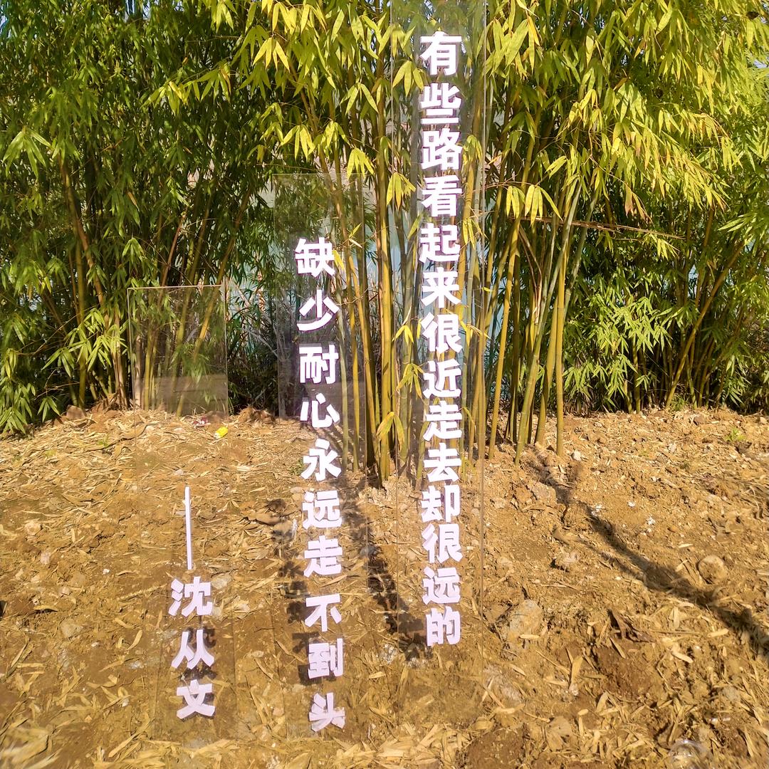 一人的天空