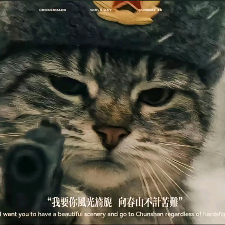 小卢