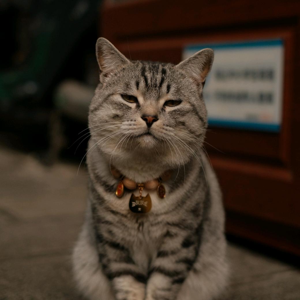 龙炫（摄影📸）