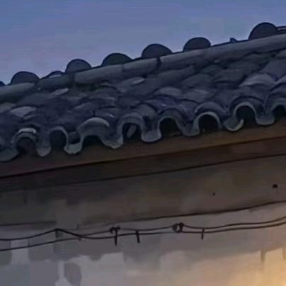 @羊洋阳