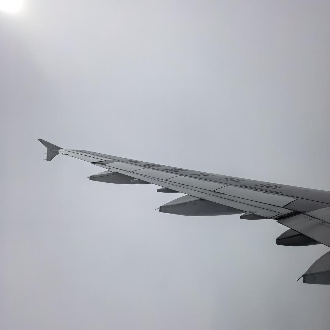 小海哥