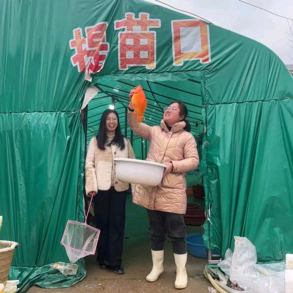 湘锦渔场-微姐