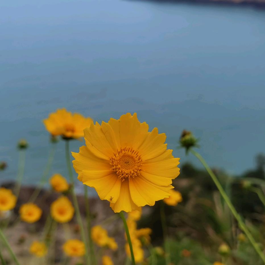 溪流机电