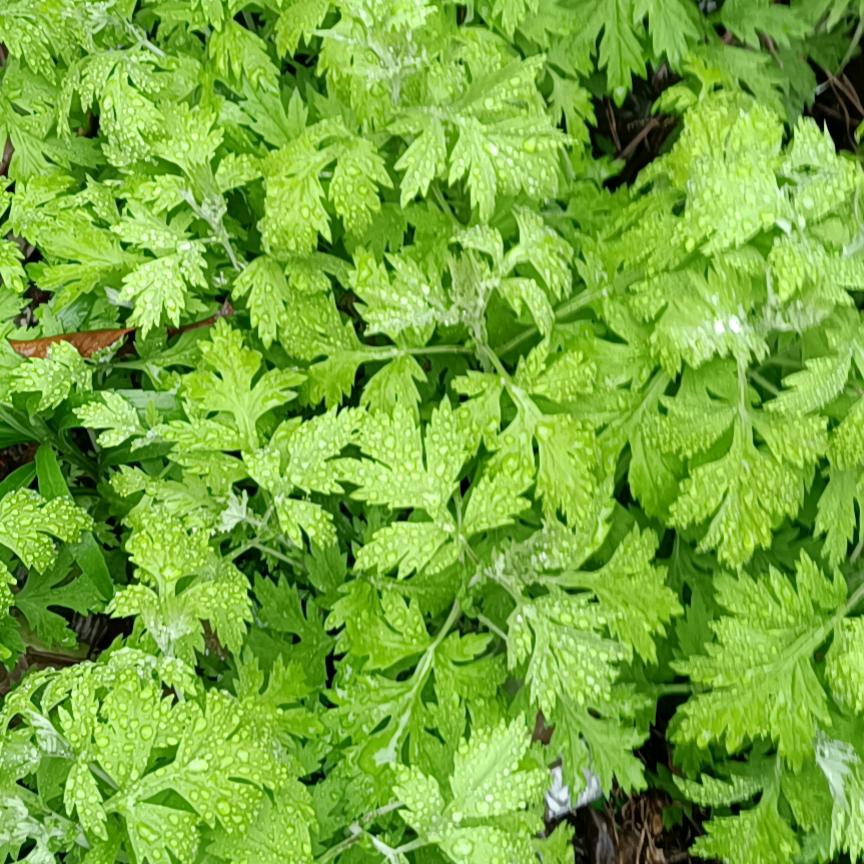 用户8234289088512自信