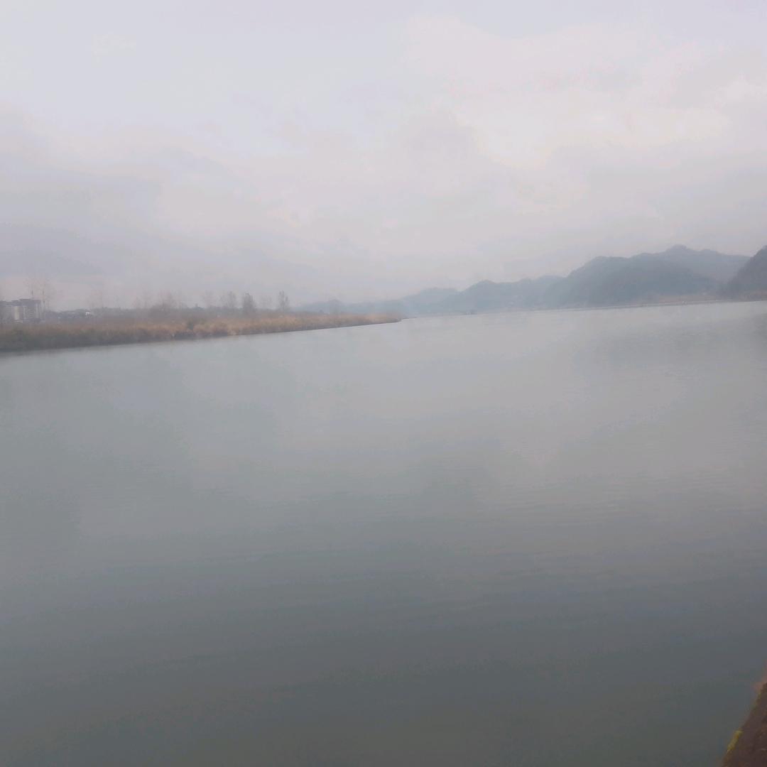 完美人生