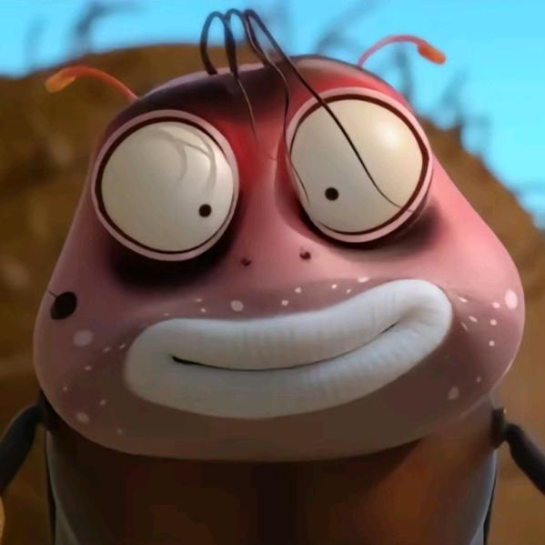 丛林法则中的肉