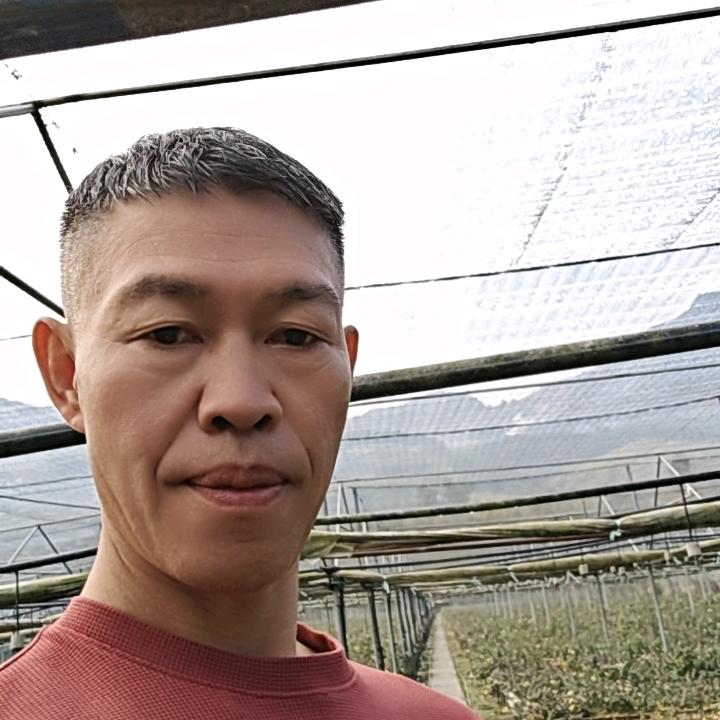 发哥 追梦