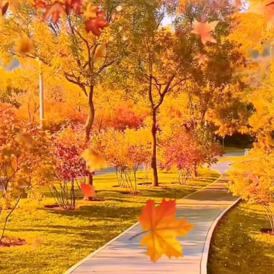 余生不谈感情💖只说人生...🌹🌹