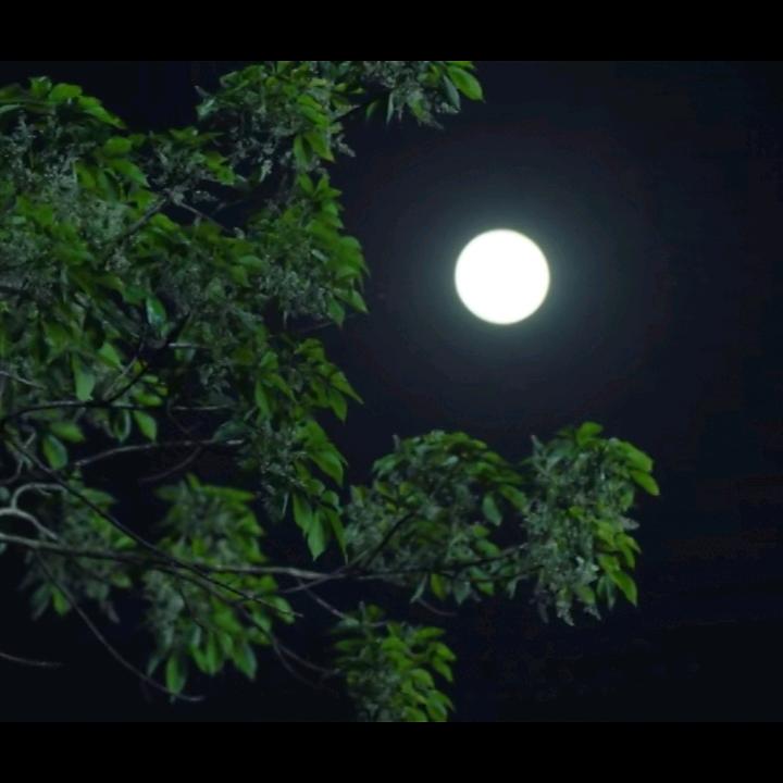 扬眉兔气