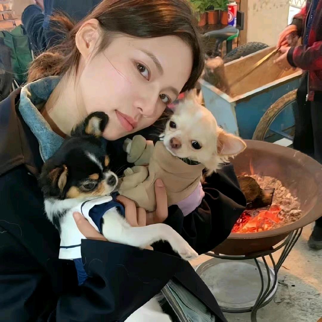 皮蛋瘦肉没有粥