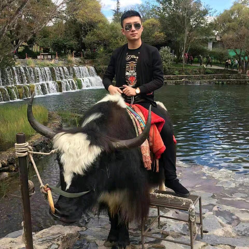 酷酷的王