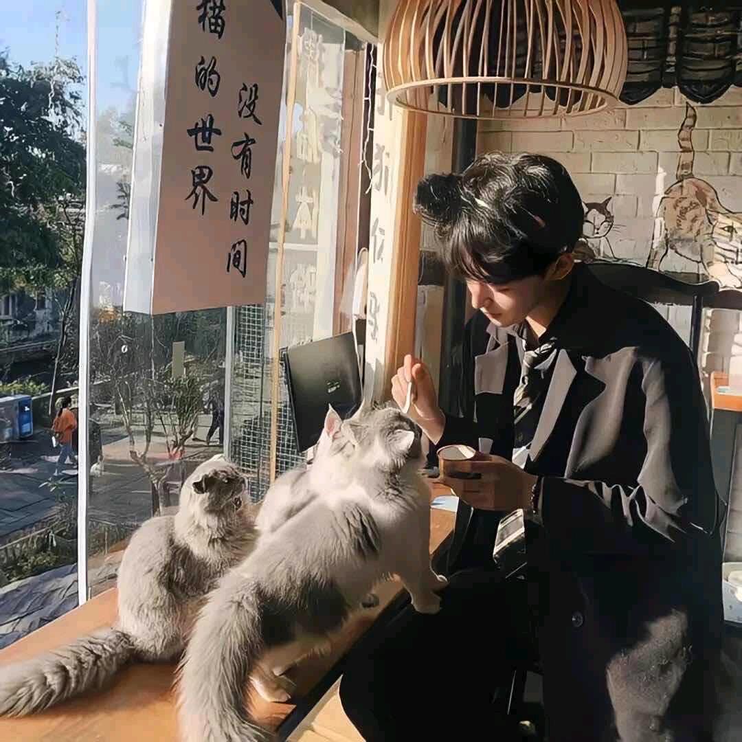 —荼靡