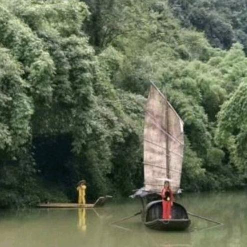 🐬 福 哥  Bridge