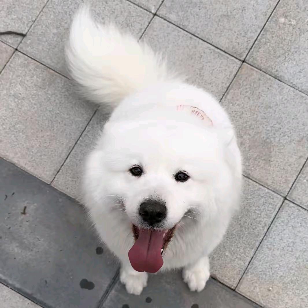 睡觉的时候我不困
