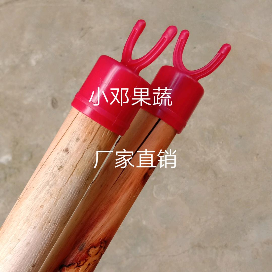 专业生产销售果树塑料顶果叉头和果树挂钩