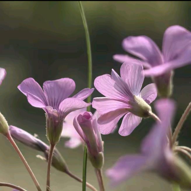 ·                  .