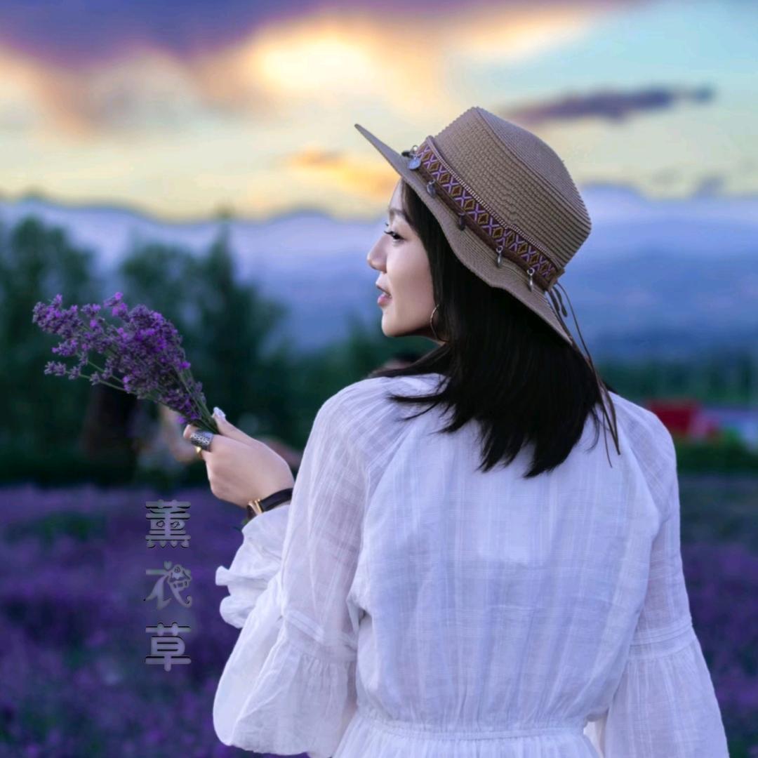 薰衣草