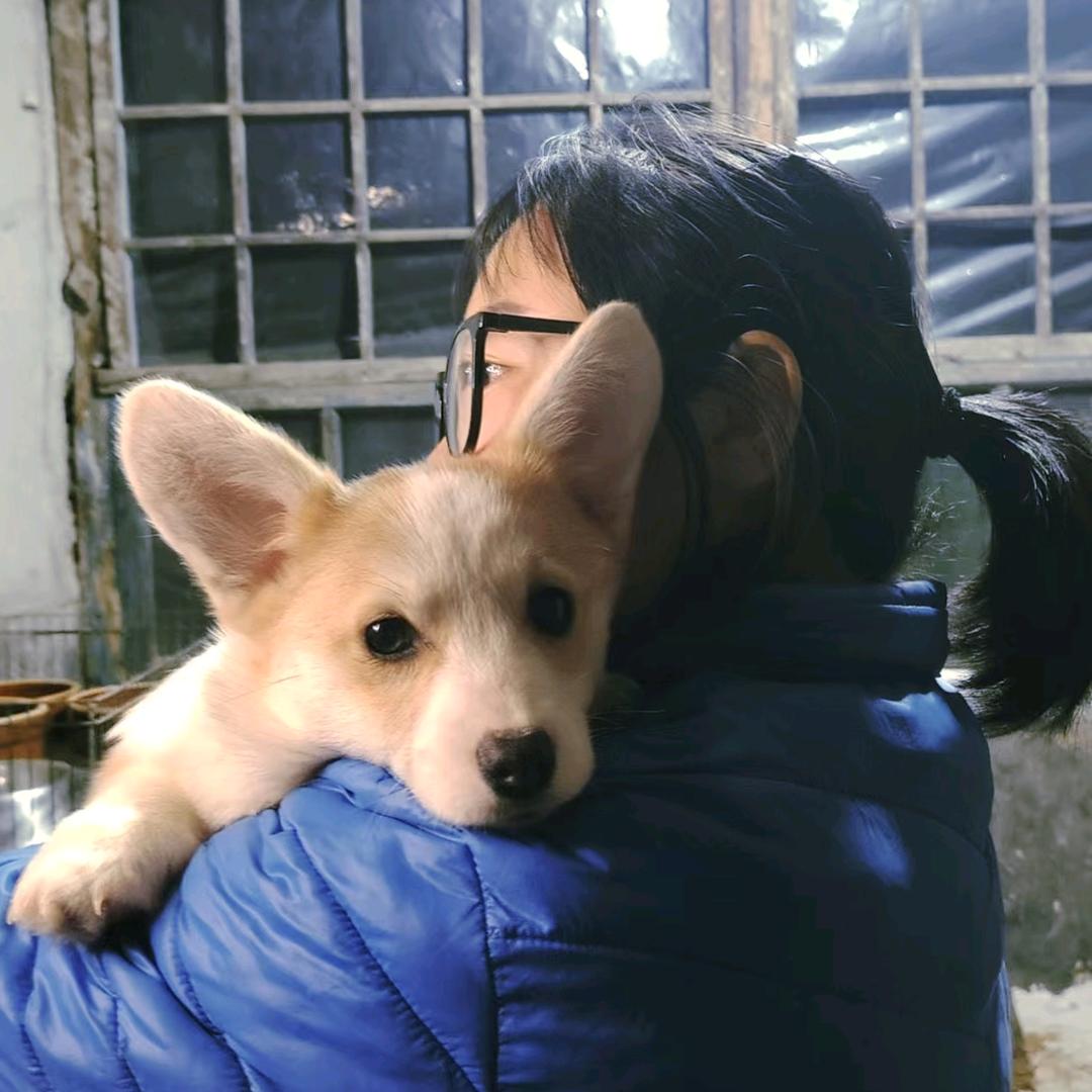 A我是NAN谦谦谦谦