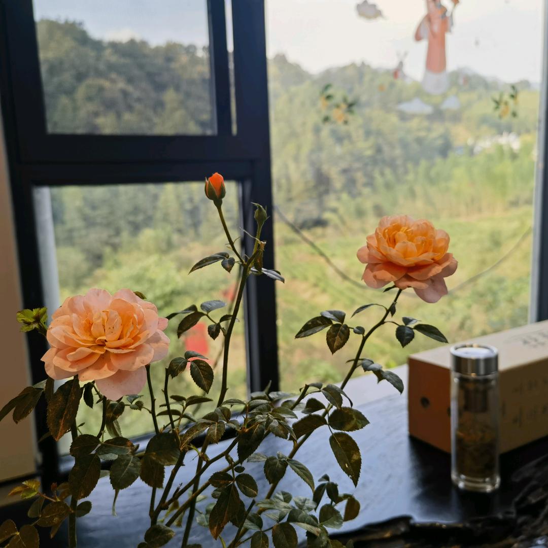 贰佰唐💭