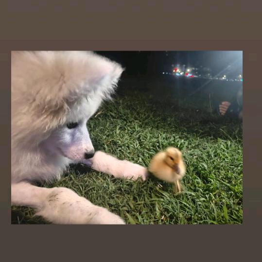 社会你阳哥😃