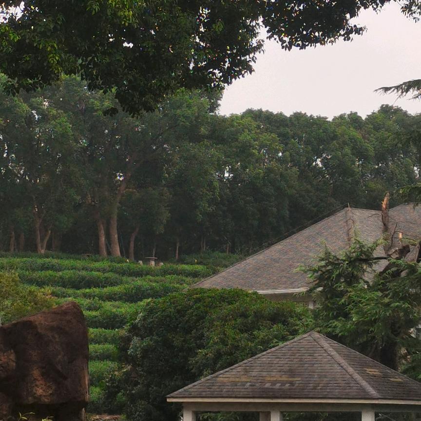 (ͼ̤͂ ͜ ͽ̤͂)简单