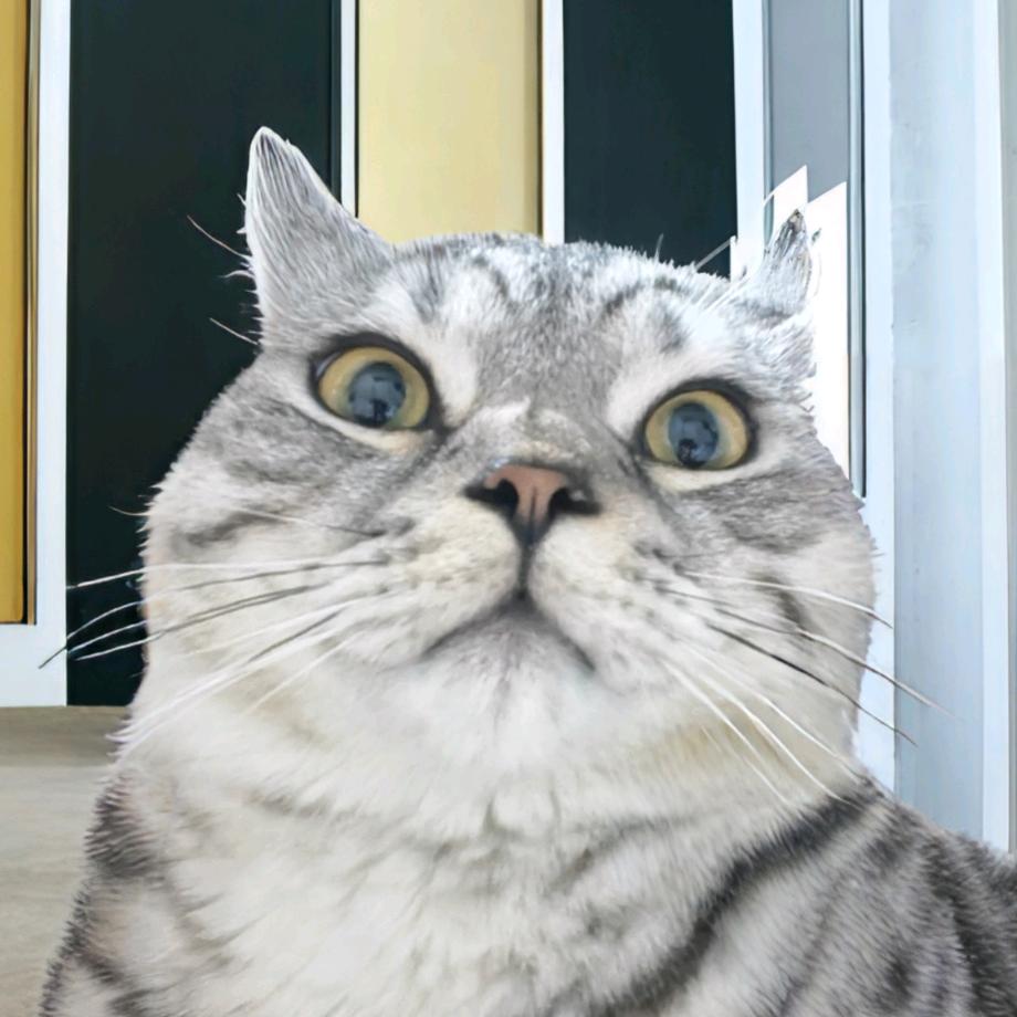 扬名门窗