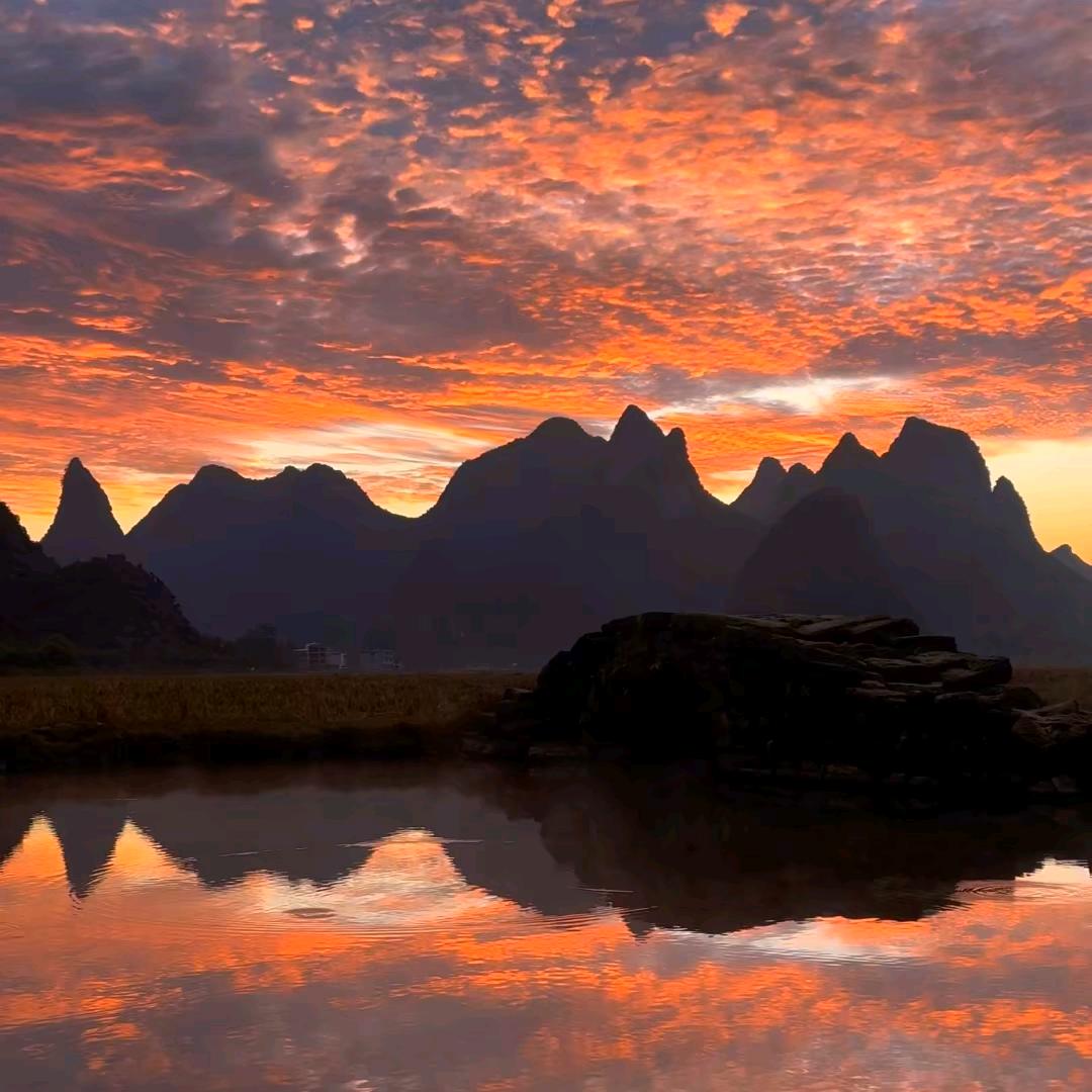 土坡上的狗尾巴草