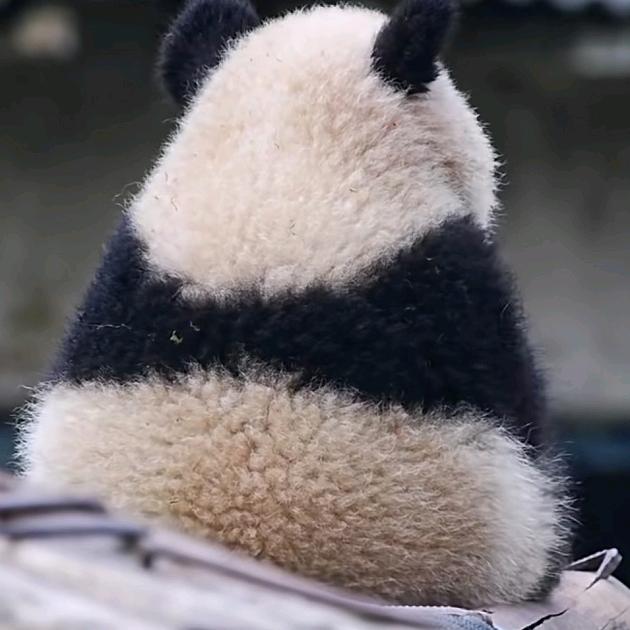 ╭( ′• o •′ )╭☞就是这个人!