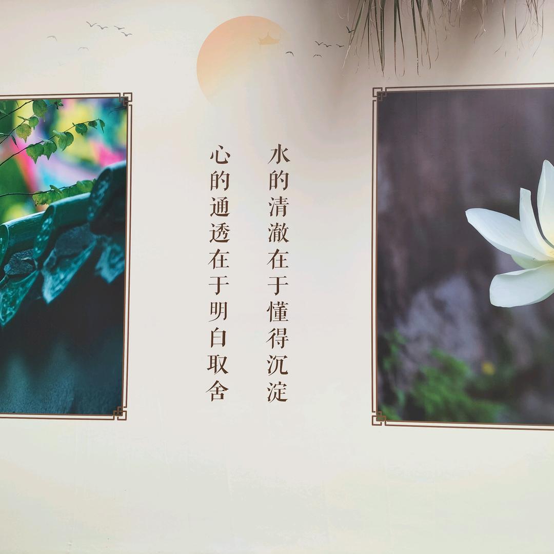 青春没有售价