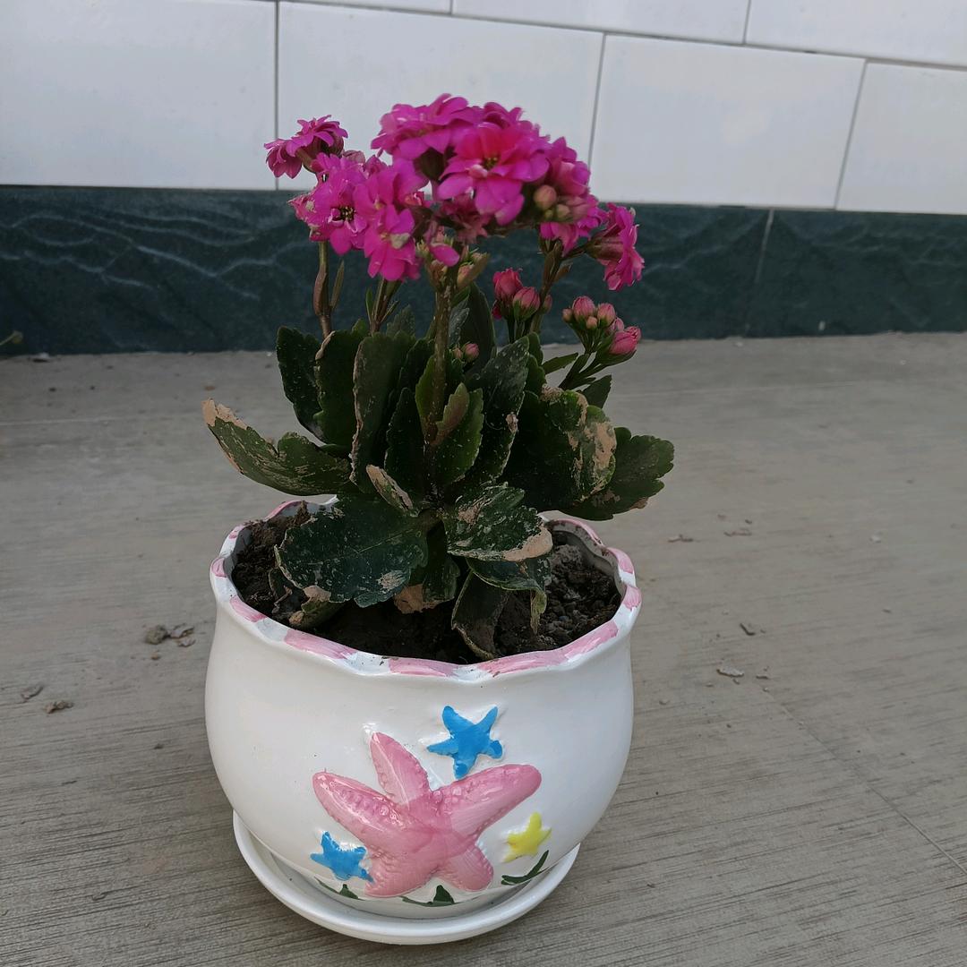 幸福一家人💗🎀