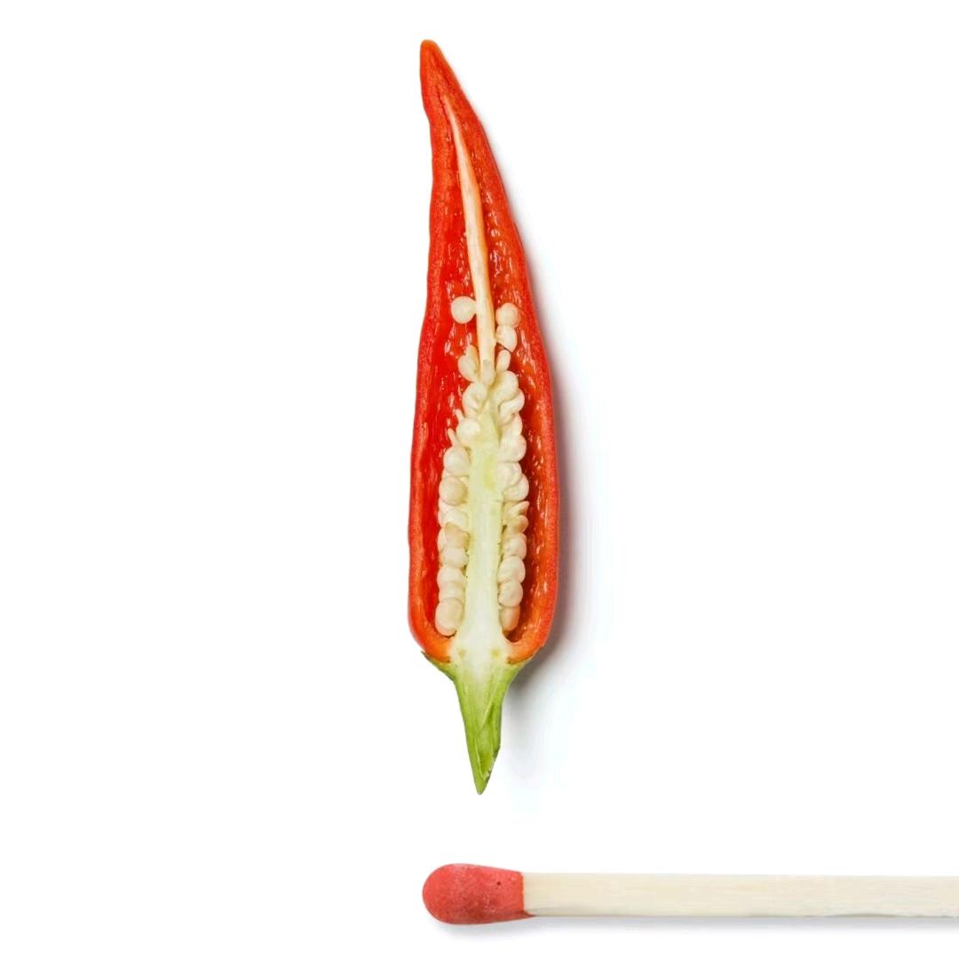小胖家伙的巧克力
