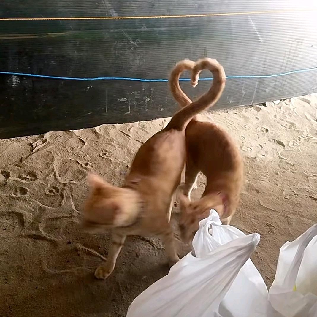 她说二战炸黑的