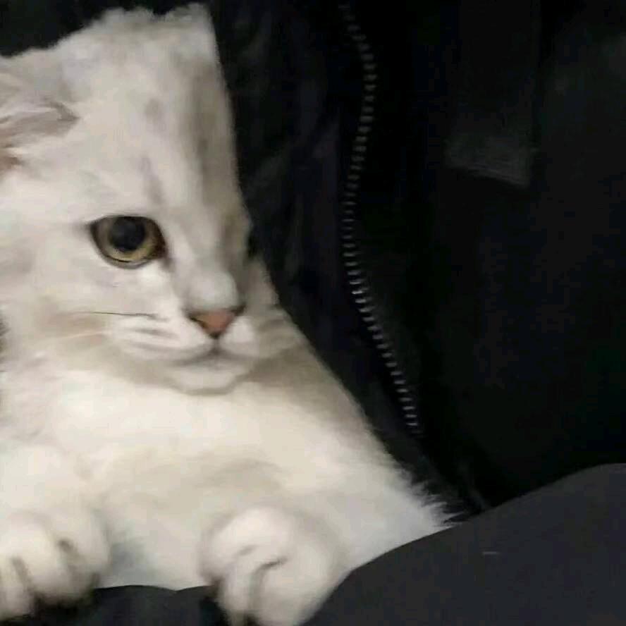 走心