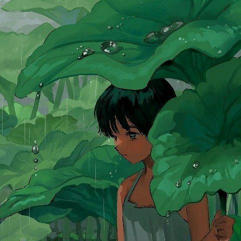 木小木木