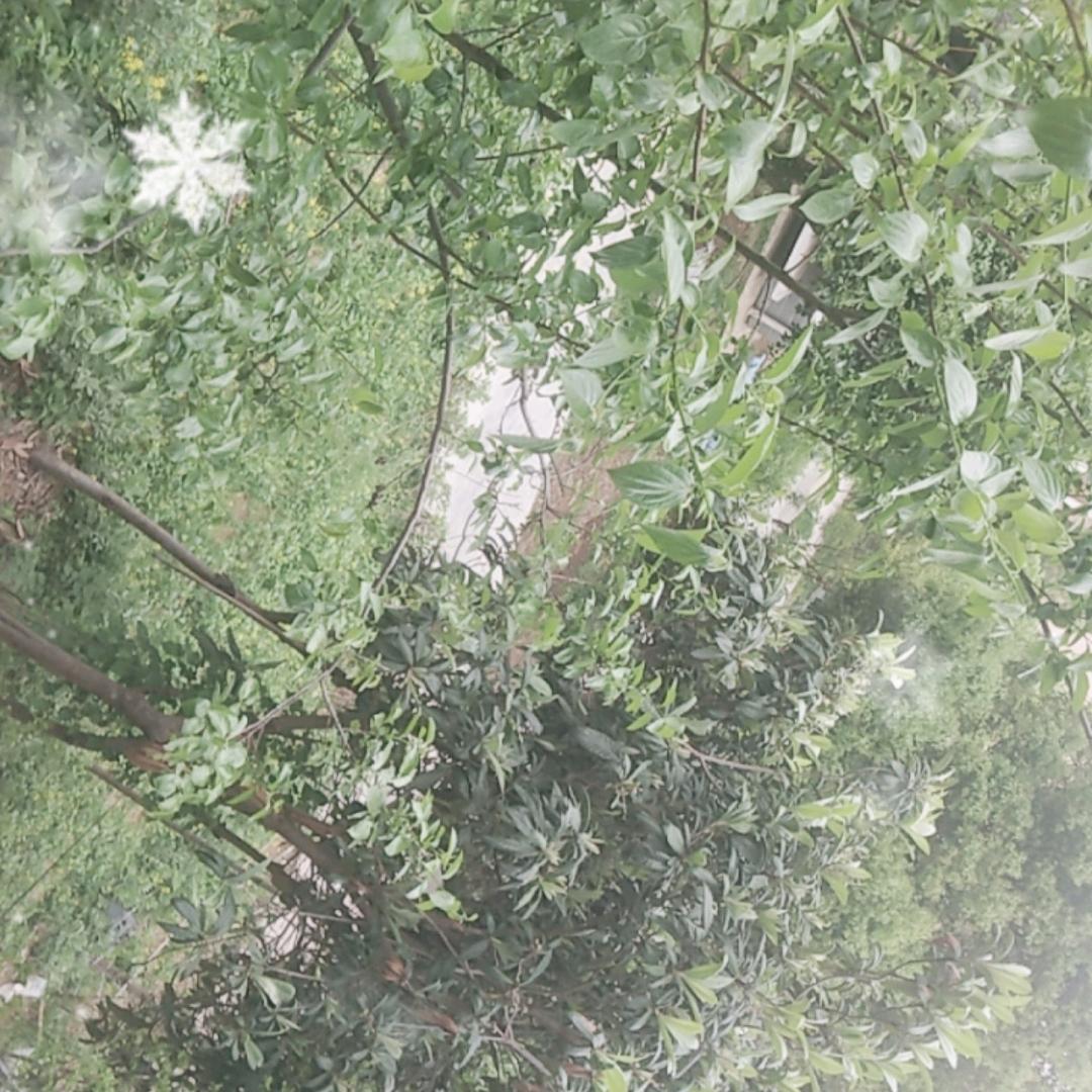 我爱找茬